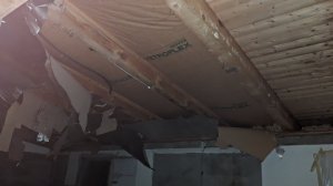 PXL_20250810_193325646.jpg
