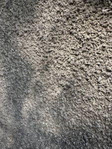 IMG_5895.jpeg