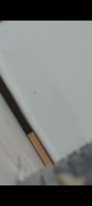 Screenshot_20250812-175000.png