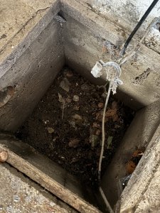 IMG_6957.jpeg