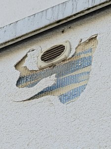 PXL_20250813_112749423.MP.jpg