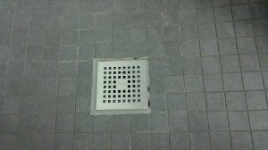 PXL_20250816_075136853.jpg