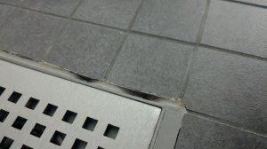 PXL_20250816_075124971.jpg