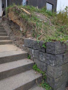 PXL_20250816_171422967.jpg