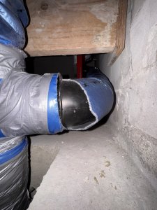 IMG_2283.jpeg