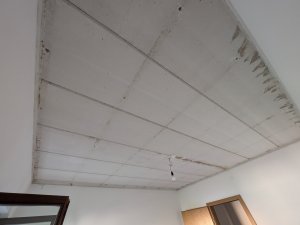 PXL_20250808_153737872.jpg