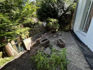 IMG_6216.jpg