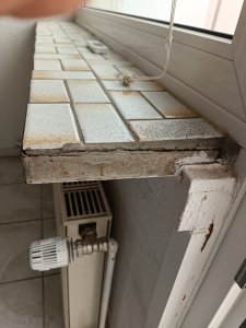 IMG_20250817_110738.jpg