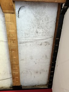 IMG_8958.jpeg
