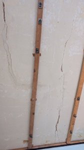 PXL_20250822_110133175.jpg