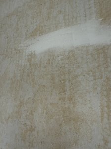 IMG_7824.jpeg