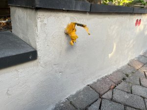 IMG_0475.jpg
