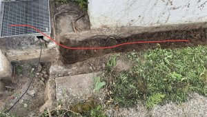 IMG_1762.jpeg