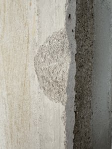 IMG_5404.JPG