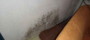 IMG_20250825_201825.jpg