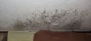 IMG_20250825_201846.jpg