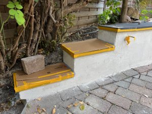 IMG_0482.jpg