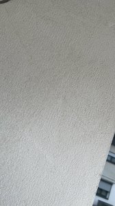 20250828_153104598_iOS.jpg