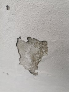 IMG_20250828_180538.jpg