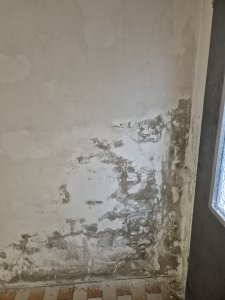 20250903_190505.jpg