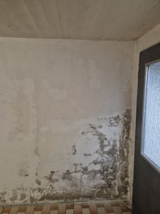 20250903_190511.jpg