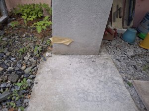 1000027754.jpg