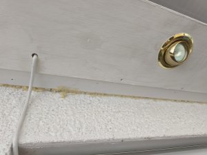 IMG_20250906_191718.jpg