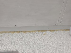 IMG_20250906_191714.jpg
