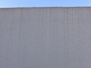 IMG_20250906_111146.jpg