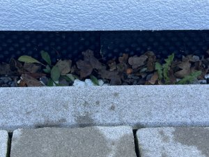 IMG_6358.jpeg