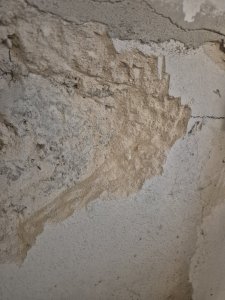 20250910_173757.jpg