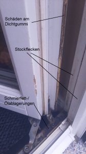Dichtgummi  Stockflecken Schmieröl.jpg