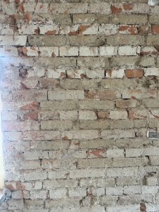 IMG_4794.jpeg