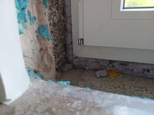IMG_20250912_134124993.jpg