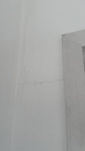 IMG_4456.jpeg