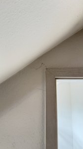 IMG_4454.jpeg