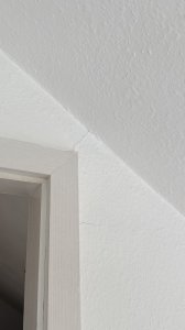 IMG_4455.jpeg