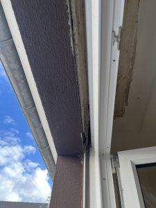 IMG_4952.jpeg