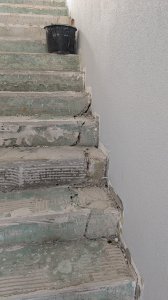 PXL_20250917_112825707.MP.jpg