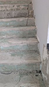 PXL_20250917_112901491.MP.jpg