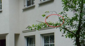 2008.JPG