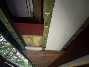 IMG_3428.JPEG