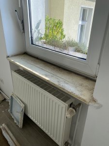 IMG_4802.jpeg