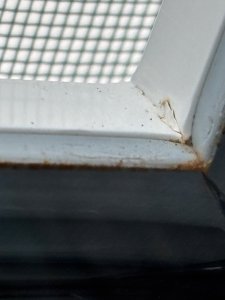 IMG_3983.jpeg
