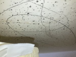 IMG_2155.JPG
