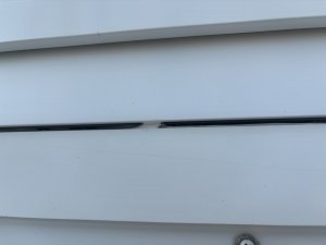 IMG_4004.jpeg
