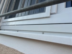 IMG_4007.jpeg