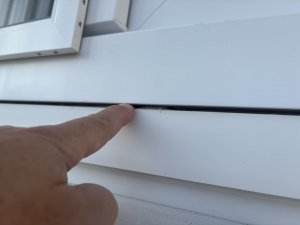 IMG_4008.jpeg
