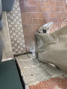 IMG_3643.jpeg