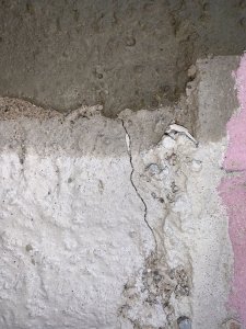 IMG_0588.jpeg
